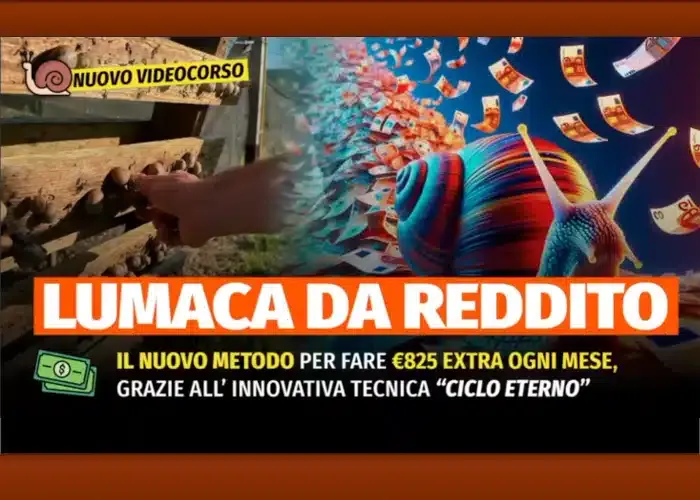 [CORSO GRATIS] Lumaca da Reddito – Rendita Agricola