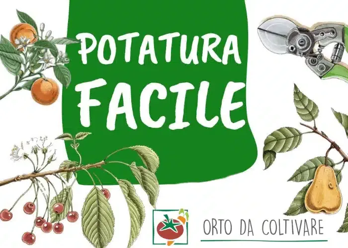 [CORSO GRATIS] Potatura Facile – Orto da Coltivare