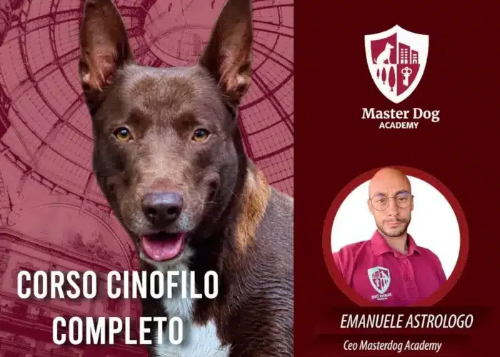 [CORSO GRATIS] Corso Cinofilo Completo – Master Dog