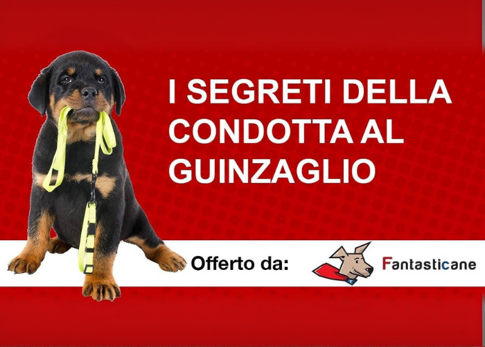 [CORSO GRATIS] I Segreti della Condotta al Guinzaglio – Fantasticane