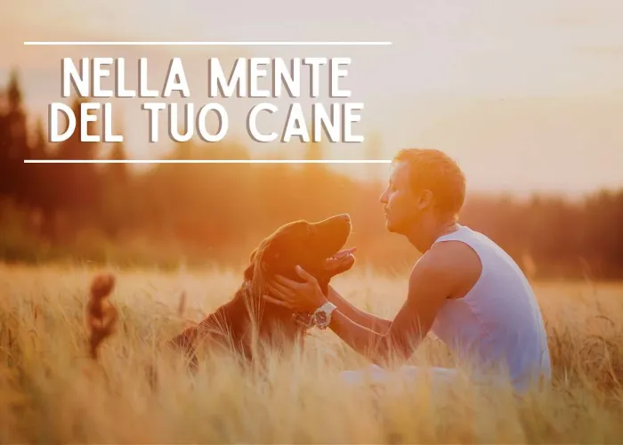 [CORSO GRATIS] Nella Mente del tuo Cane – Educazione Cinofila