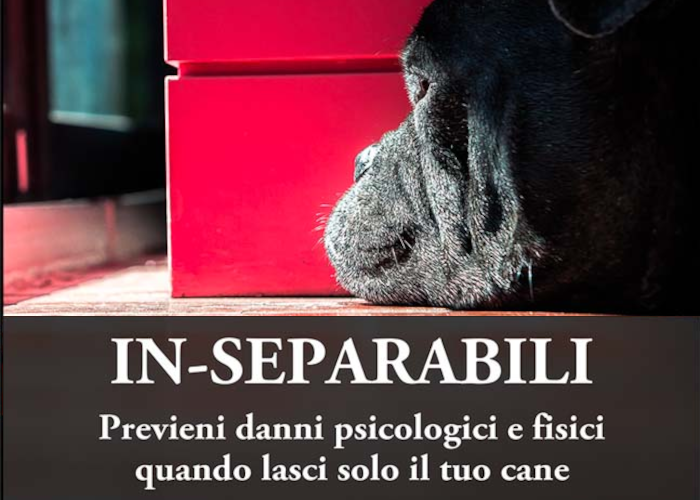 [CORSO GRATIS] In-Separabili – Fantasticane