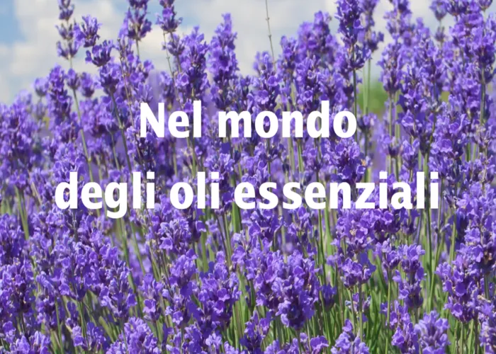 [CORSO GRATIS] Nel mondo degli oli essenziali – Bosco di Ogigia