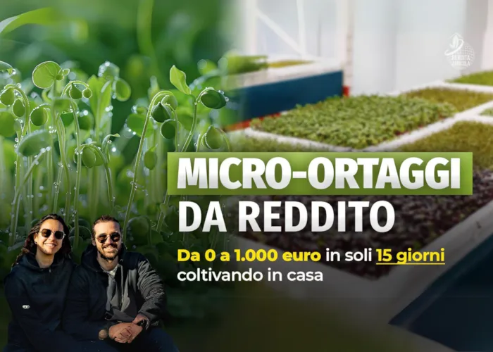 [CORSO GRATIS] Micro–Ortaggi da Reddito – Rendita Agricola