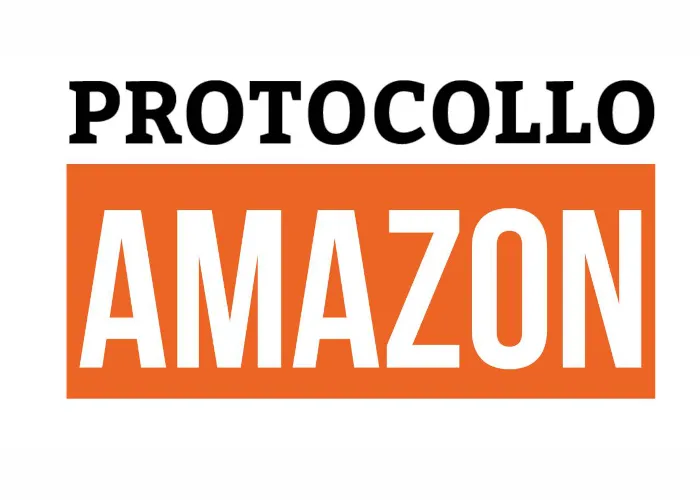 [CORSO GRATIS] Protocollo Amazon – Michele Taverna
