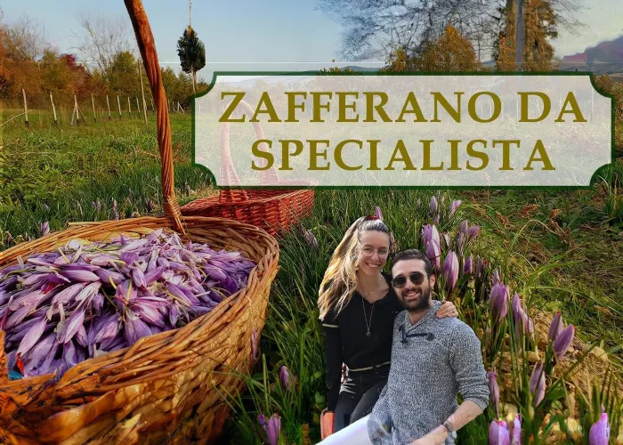 [CORSO GRATIS] Zafferano Da Specialista – Rendita Agricola