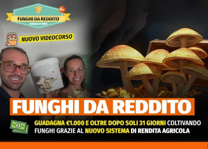 [CORSO GRATIS] Funghi da Reddito – Rendita Agricola