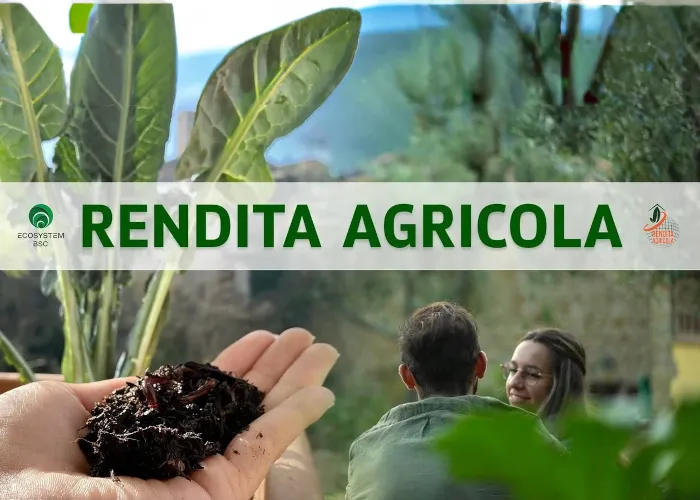 [CORSO GRATIS] Rendita Agricola – Ecosystem BSC