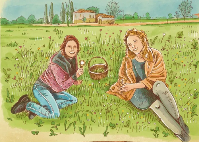 [CORSO GRATIS] Erbe Spontanee commestibili – Bosco di Ogigia