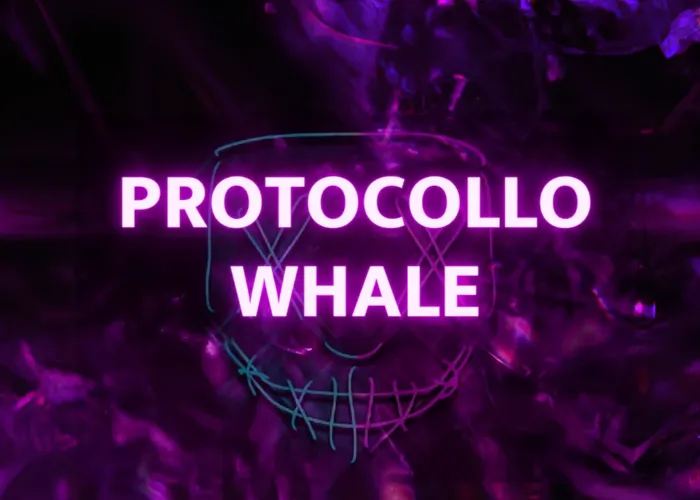 [CORSO GRATIS] Protocollo Whale – Whalecot (Michele Cotti)